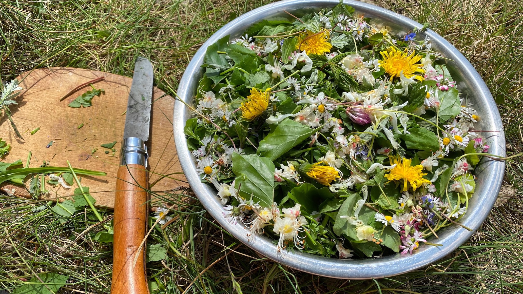 Salat Wildkräuter