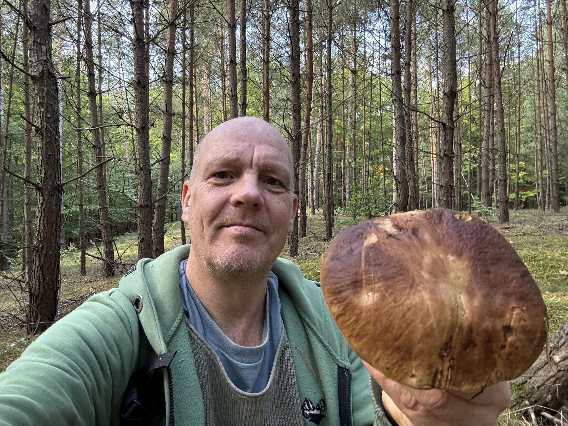 Steinpilz