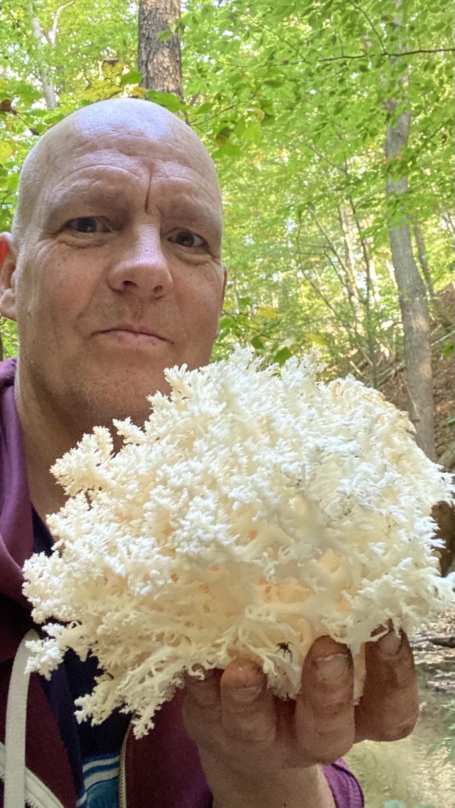 George in der Natur