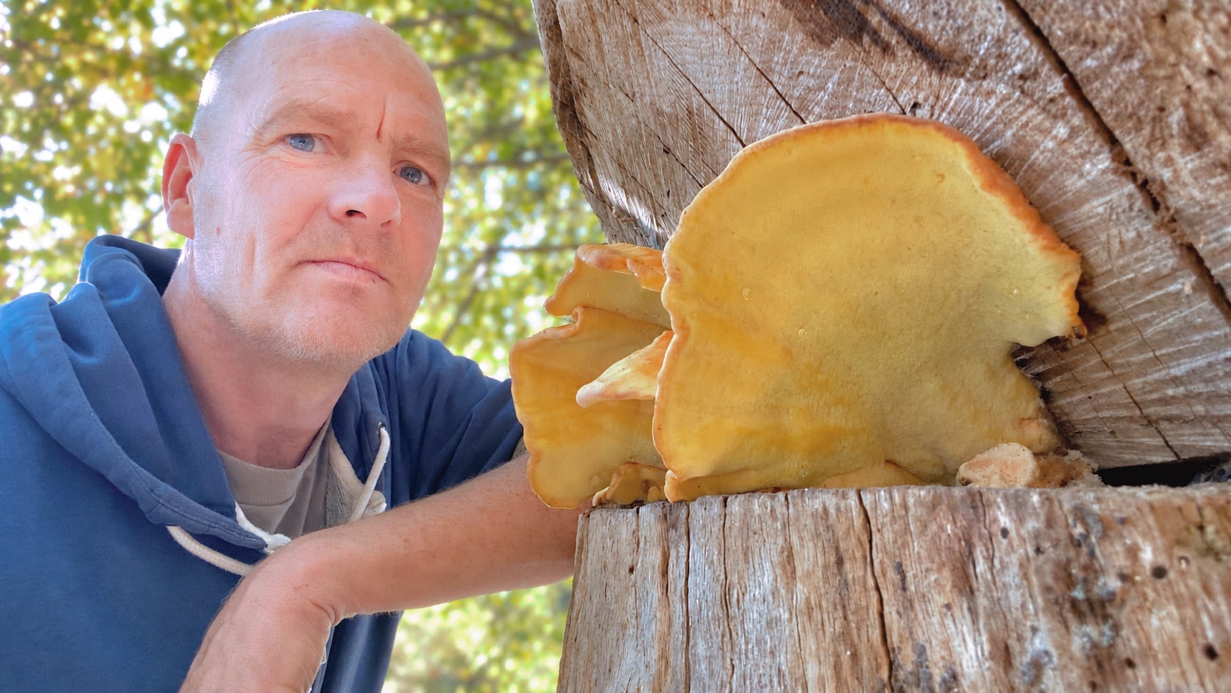 George in der Natur