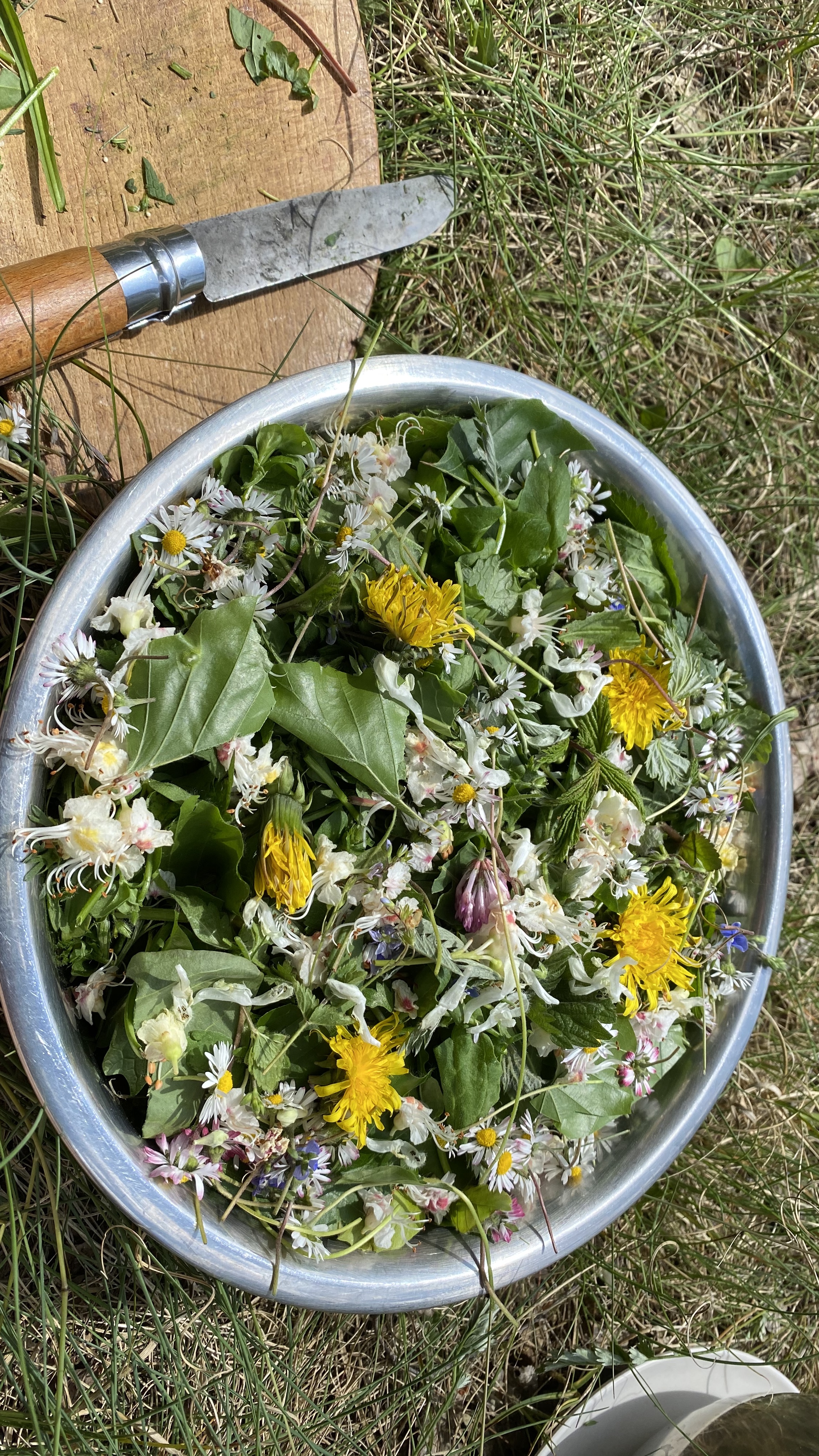 Gesammelte Pflanzen und Blüten für die Verarbeitung